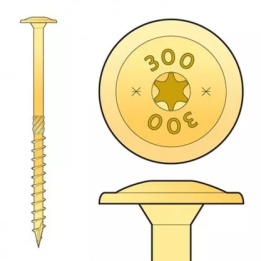 Domax - CT screw with a washer head