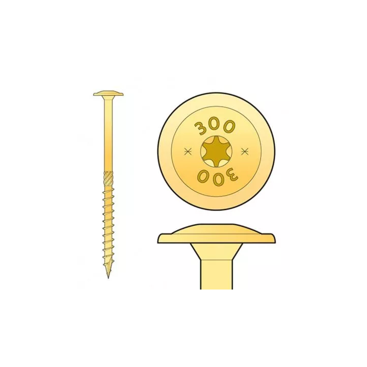 Domax - CT screw with a washer head