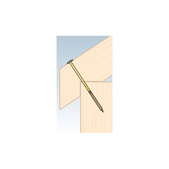 Domax - CT-Schraube mit Scheibenkopf