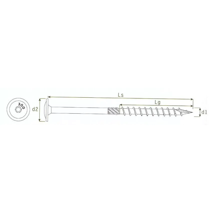 Domax - CT screw with a washer head